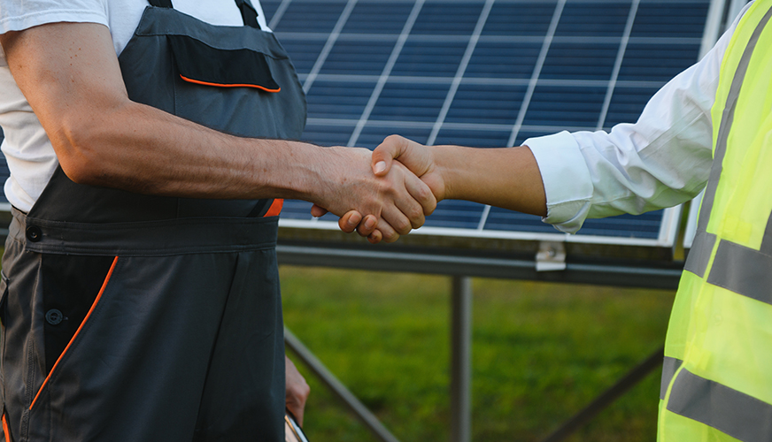 Danmanlk: Doru Kararlar, Baarl Projeler